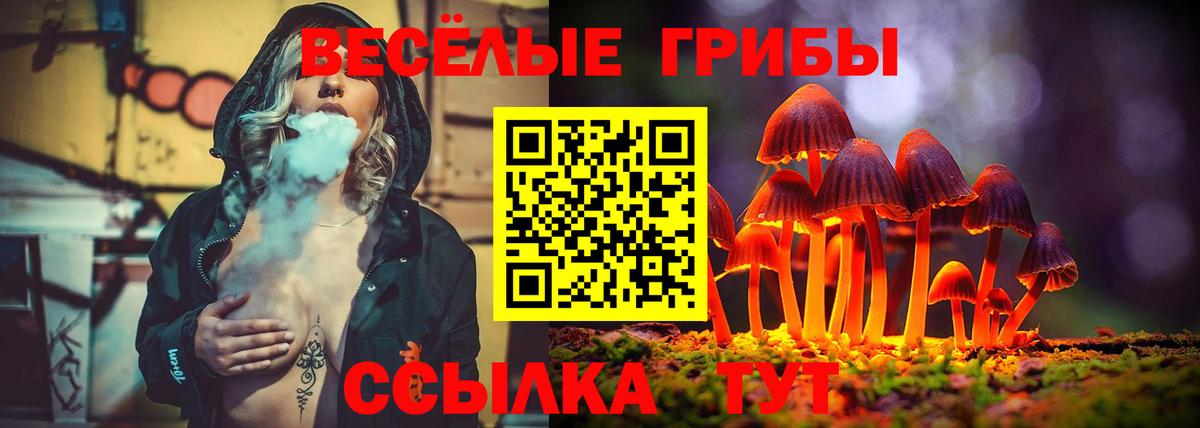 Псилоцибиновые грибы Cubensis  Вход с VPN  закладка  Галлюциногенные грибы MAGIC MUSHROOMS  Отрадное 